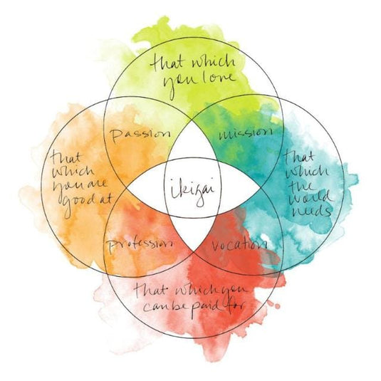 FVM - First Vision Map Ikigai