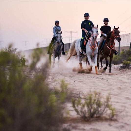 Horse Ride in the desert