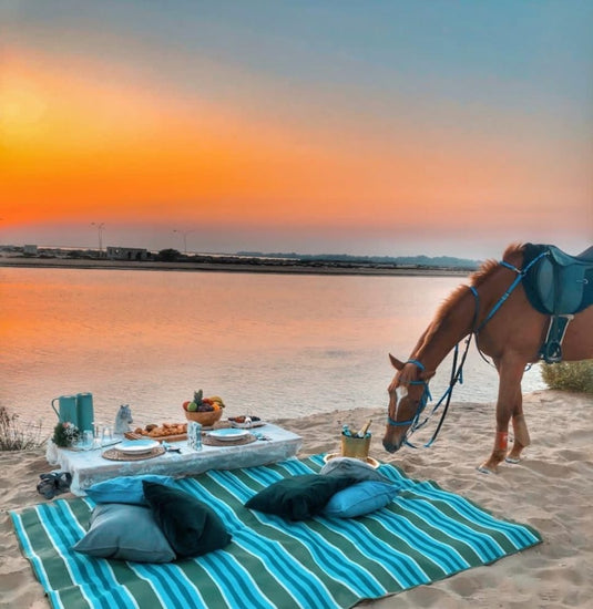 Swim With Horses Including Beach Ride, Meditation
