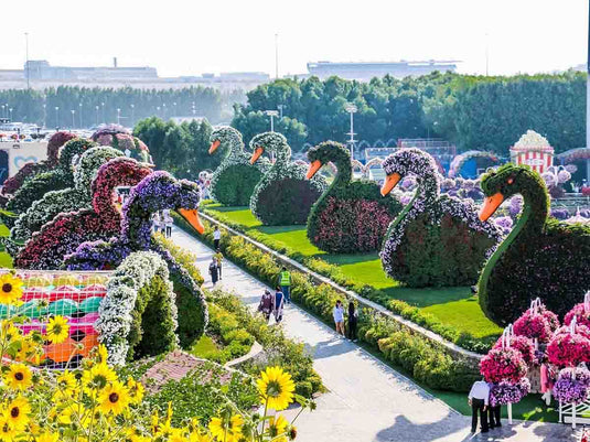 Miracle Garden (Ticket only)