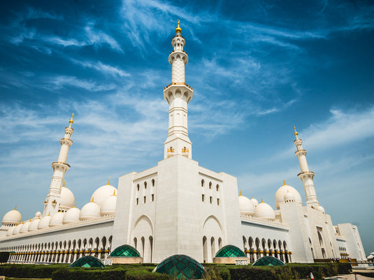 Excursão de dia inteiro pela cidade de Abudhabi