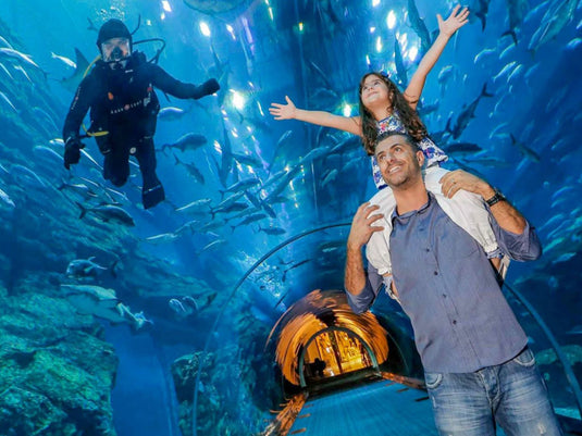 Aquário de Dubai e Zoológico Subaquático (somente ingresso)