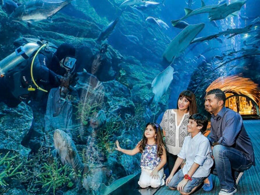 Aquário de Dubai e Zoológico Subaquático (somente ingresso)
