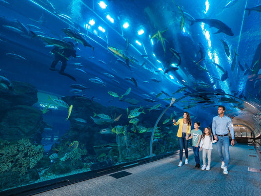 Aquário de Dubai e Zoológico Subaquático (somente ingresso)