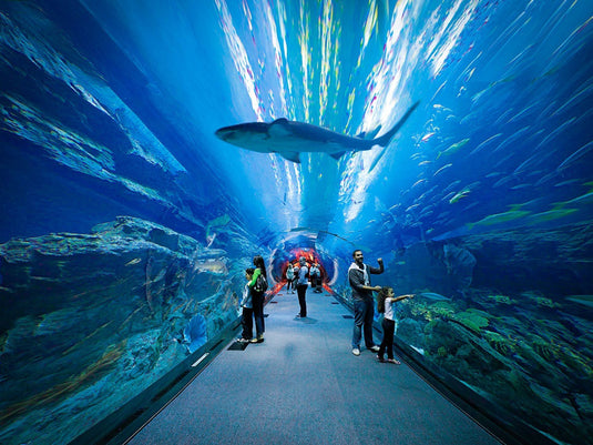 Aquário de Dubai e Zoológico Subaquático (somente ingresso)