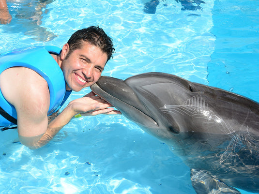 Spectacle de dauphins et de phoques au delphinarium de Dubaï (billet uniquement)
