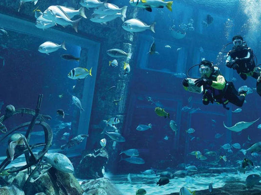 Aquarium de la Chambre Perdue (billet uniquement)
