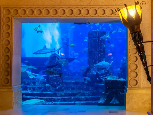 Aquarium de la Chambre Perdue (billet uniquement)