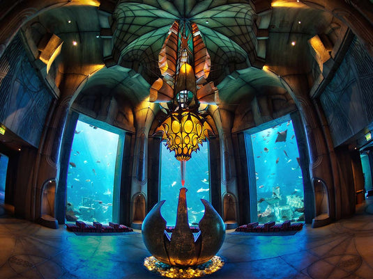 Aquarium de la Chambre Perdue (billet uniquement)