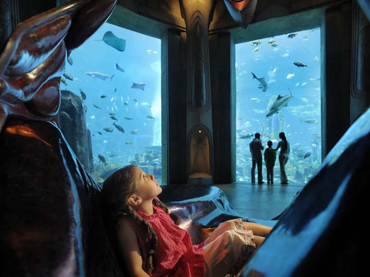 Aquarium de la Chambre Perdue (billet uniquement)