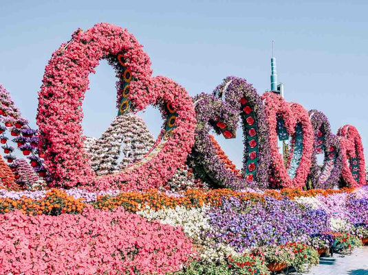 Miracle Garden (Ticket only)