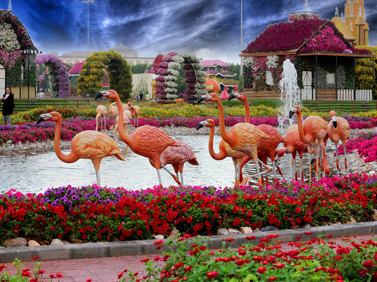 Miracle Garden (Ticket only)